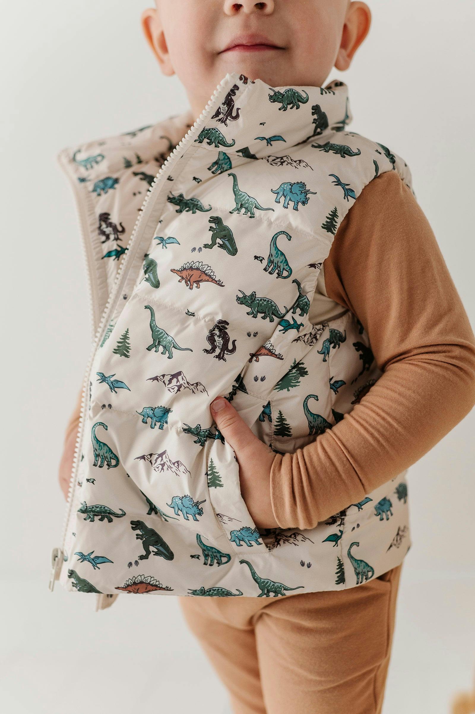 Kids Puffer Vest in Dino Land