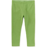 Solid Leggings, Green