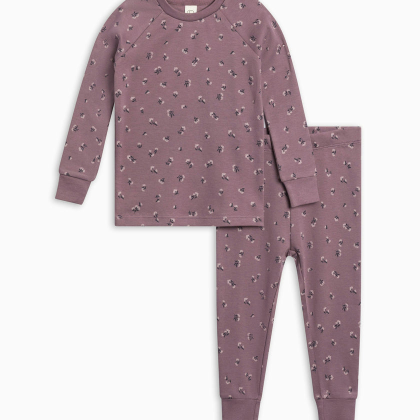 2 Piece Long Sleeve Jammie Set