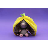 Rocket The Mouse/Lemon - Flipetz