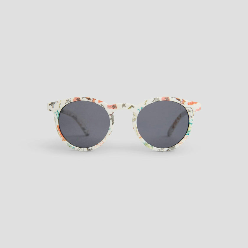 Tis sunglasses "Walton"