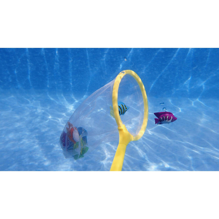 Catch Game-Net with handle and 6 brightly Colorful