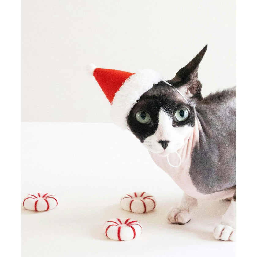 KITTY PEPPERMINT