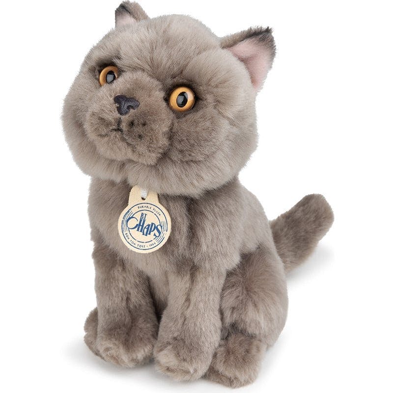 BT CHAPS FREDDY THE BRITISH SHORTHAIR FLOPPY in Giftbox 6.5"