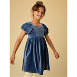Puff Shoulder Velour Dress, Blue