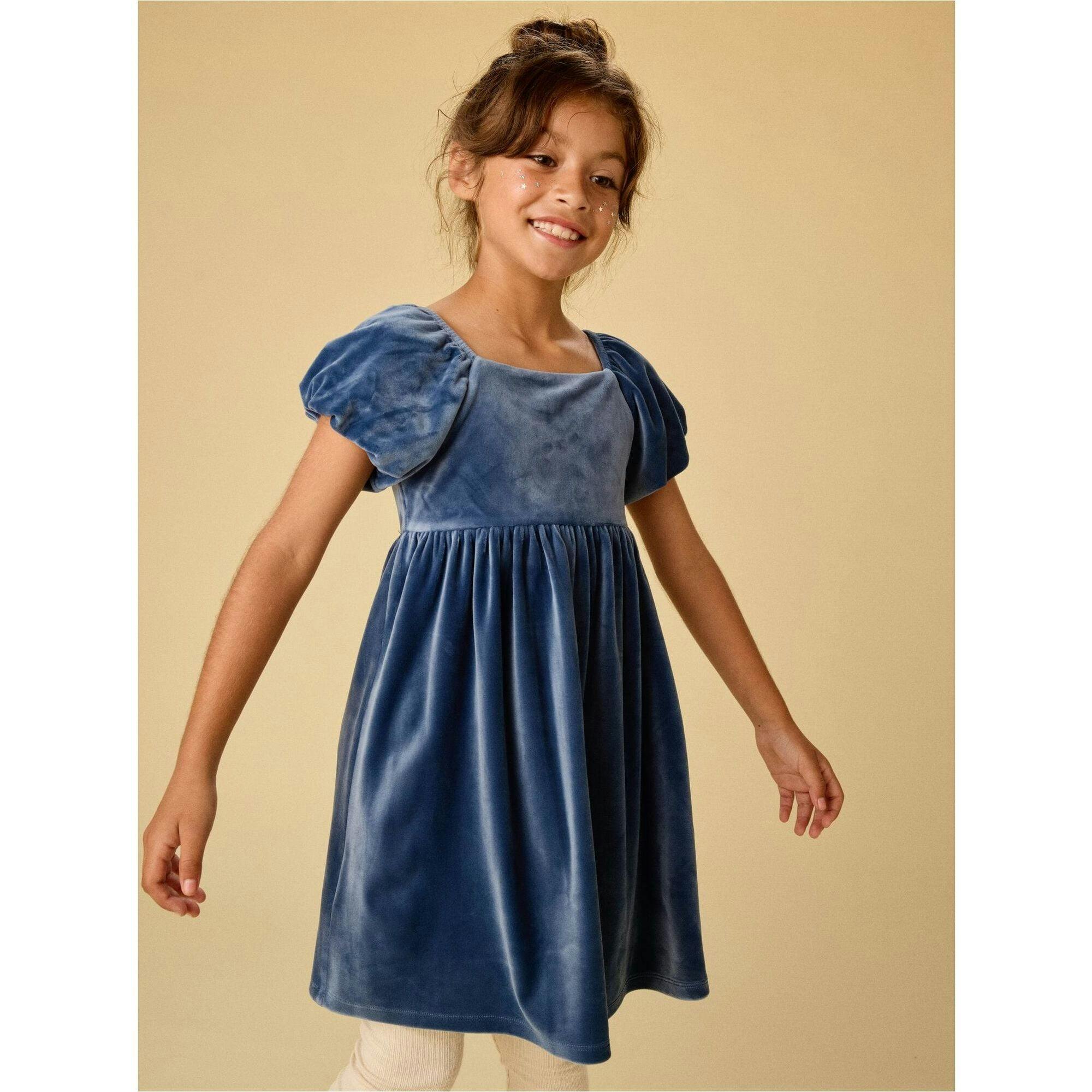 Puff Shoulder Velour Dress, Blue