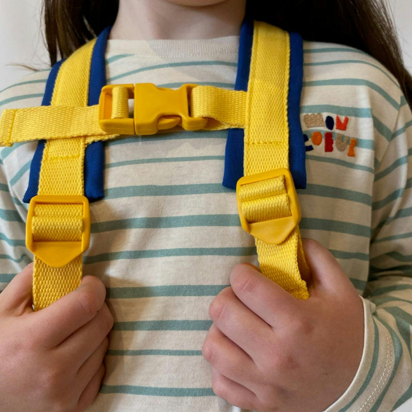 Recycled Backpack