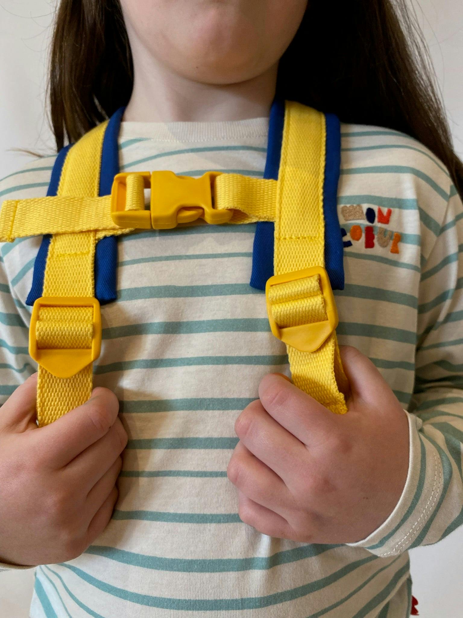 Recycled Backpack