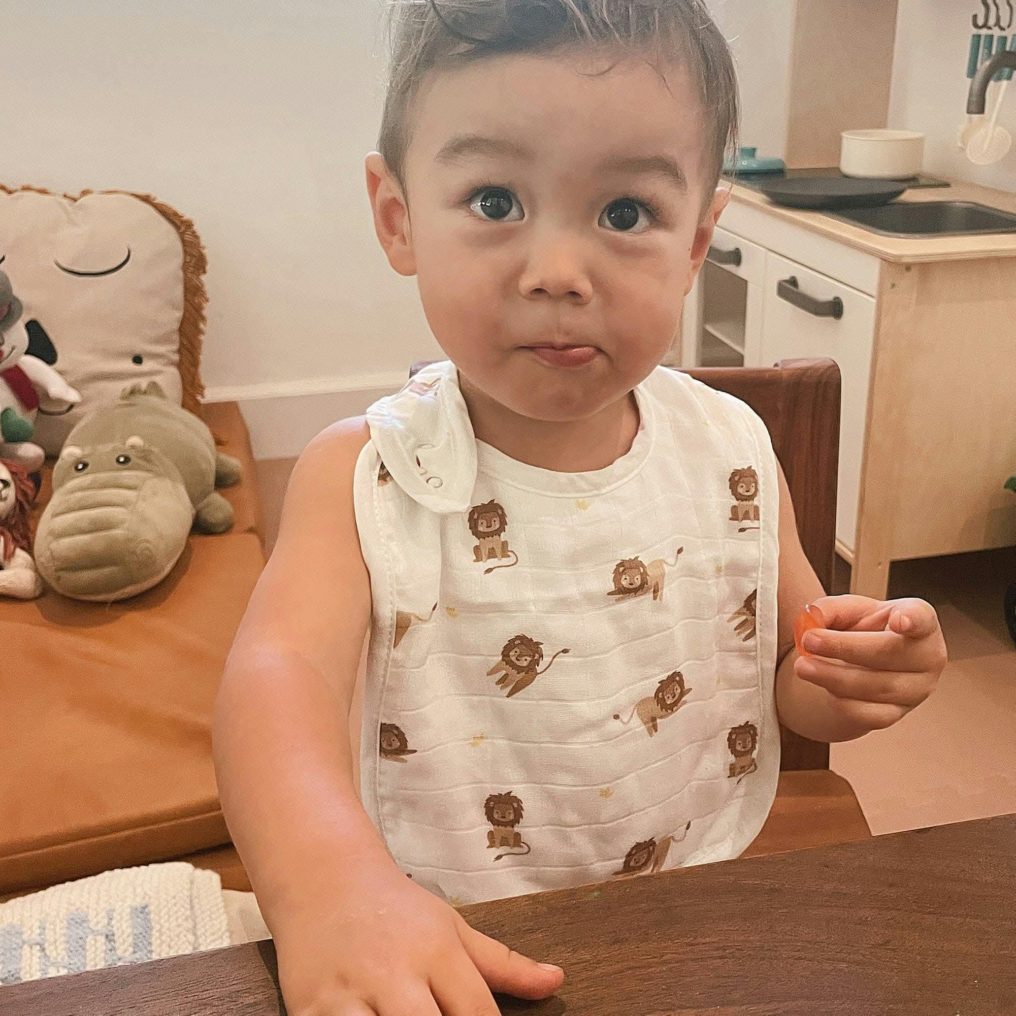 Bib Set