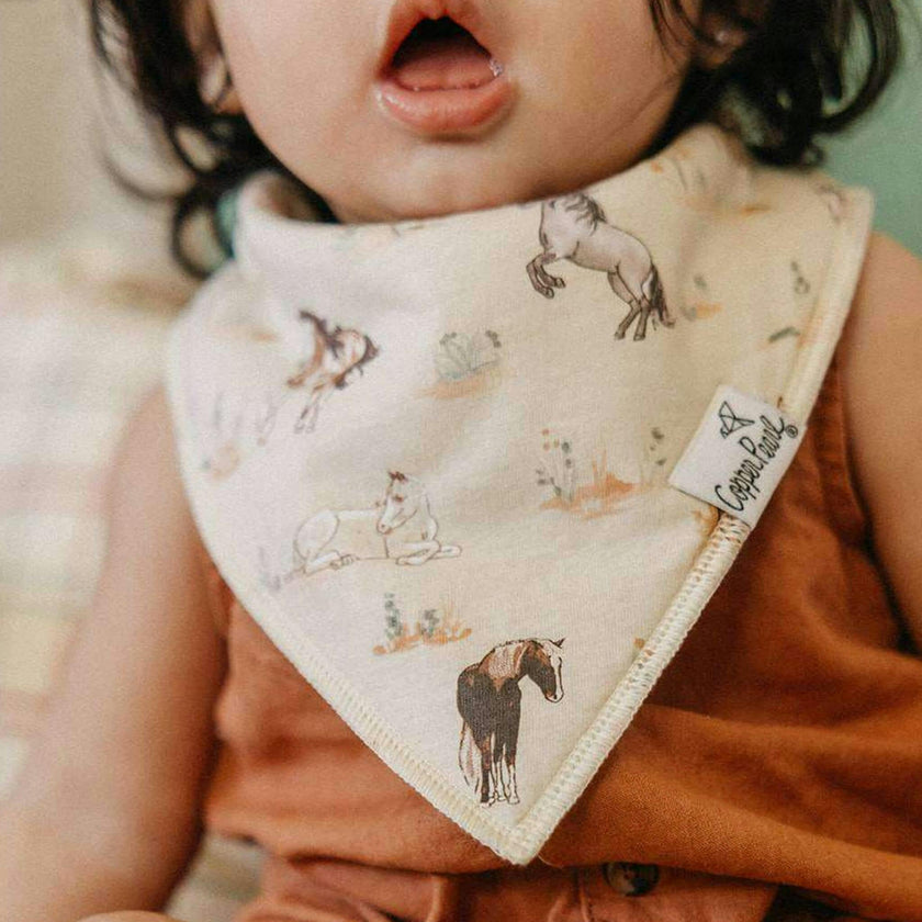 4 Pack Baby Bandana Bibs - Cheyenne