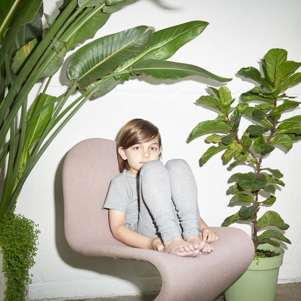 Vild House of Little brand logo