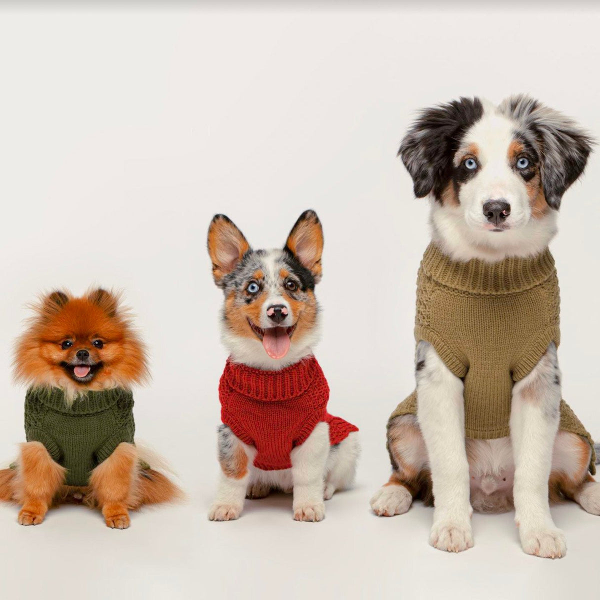 fabdog brand logo