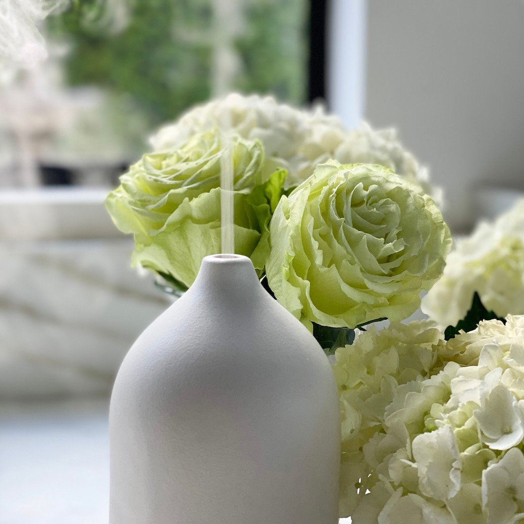 CAMPO Beauty brand logo