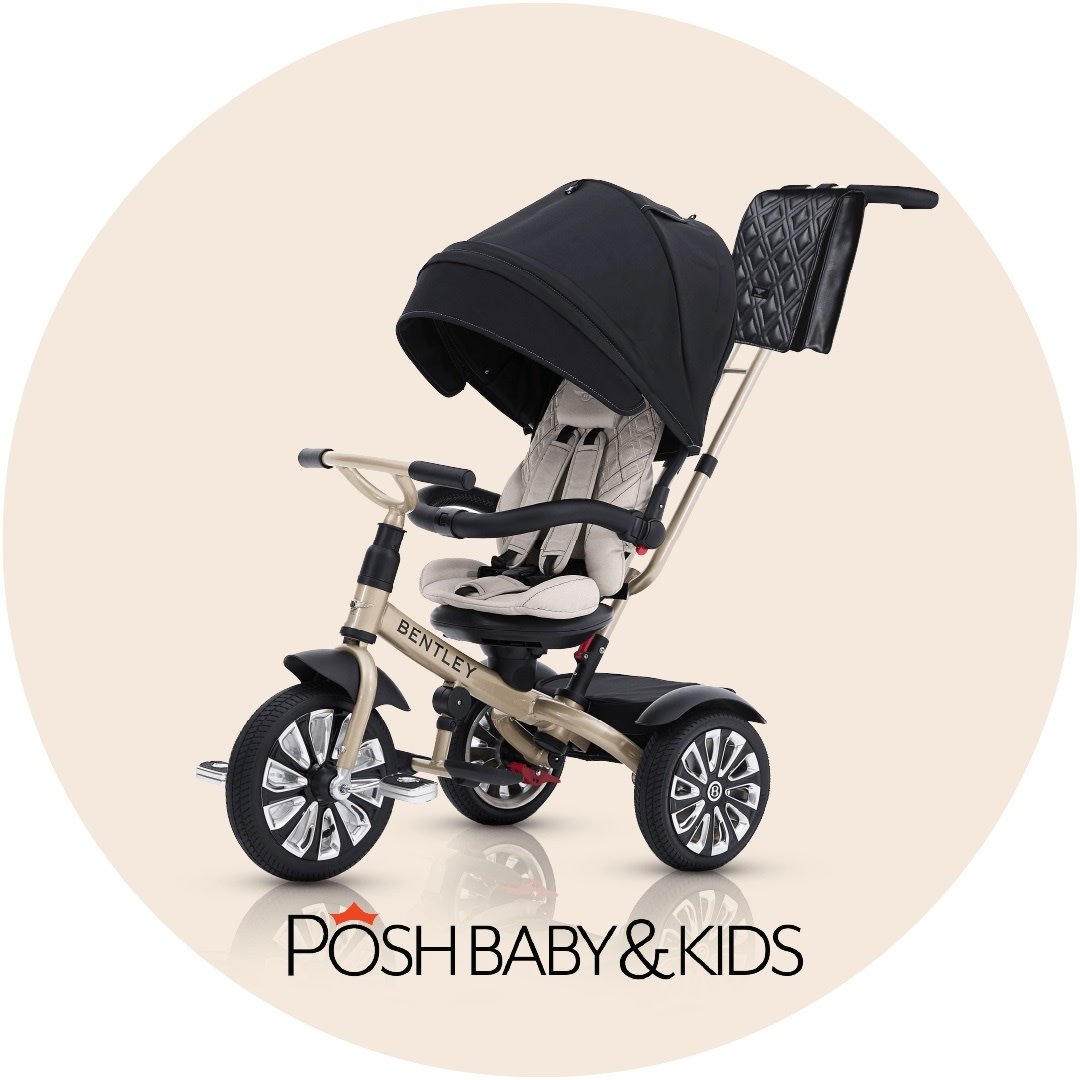 Posh Baby and Kids brand logo
