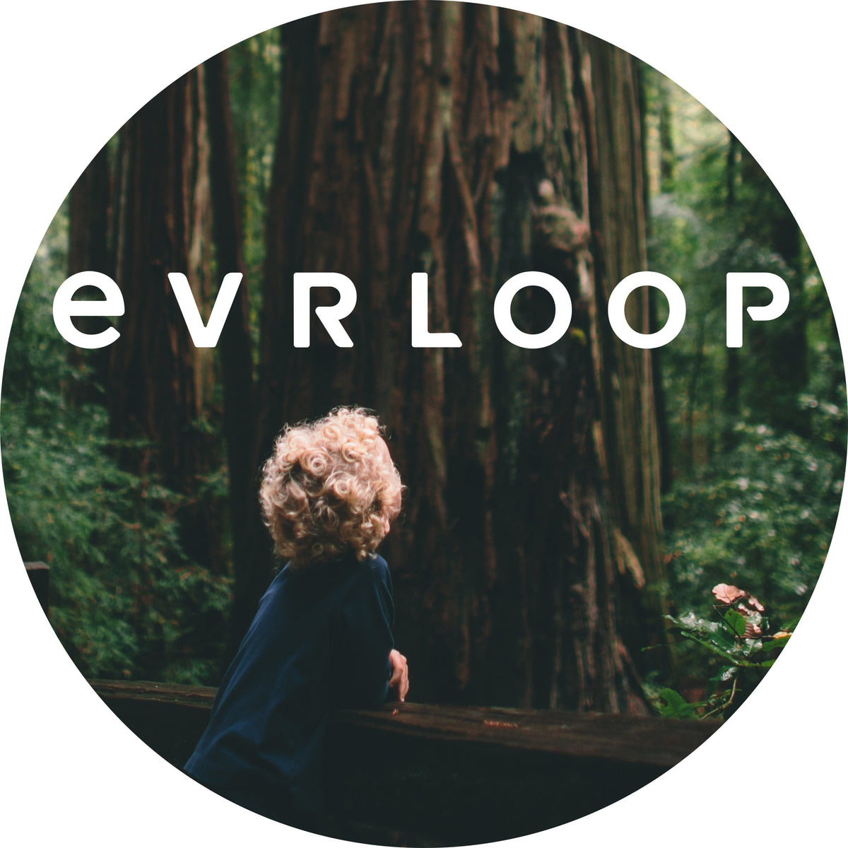 Evrloop brand logo