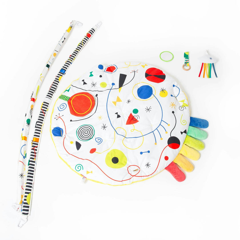 Baby Artist Play Gym
