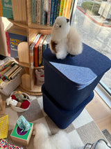 The Sculpted Bin - Original with Lid