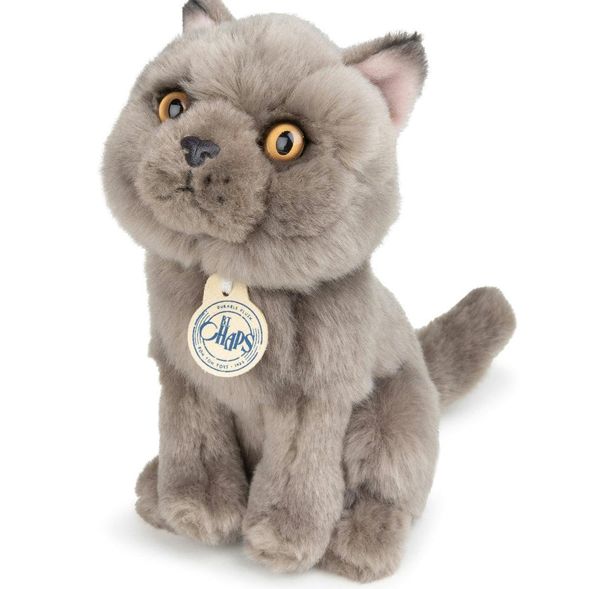 BT CHAPS FREDDY THE BRITISH SHORTHAIR FLOPPY in Giftbox 6.5"