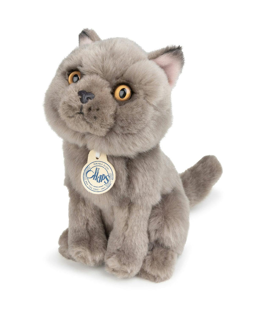 BT CHAPS FREDDY THE BRITISH SHORTHAIR FLOPPY in Giftbox 6.5"