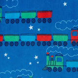Boys (2-4) Velour Pajama Set | Holiday Express - Blue