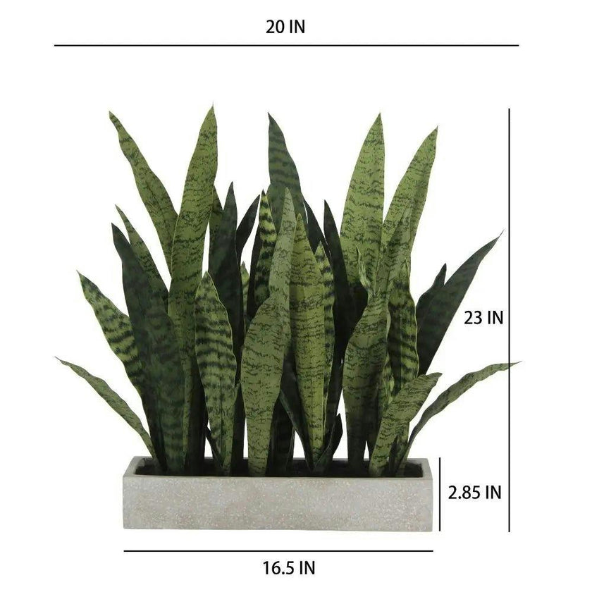 Rectangular Snake Plant Arrangement in Gray Pot