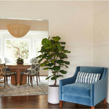 Artificial Fiddle Leaf Fig Tree with Artisan Planter