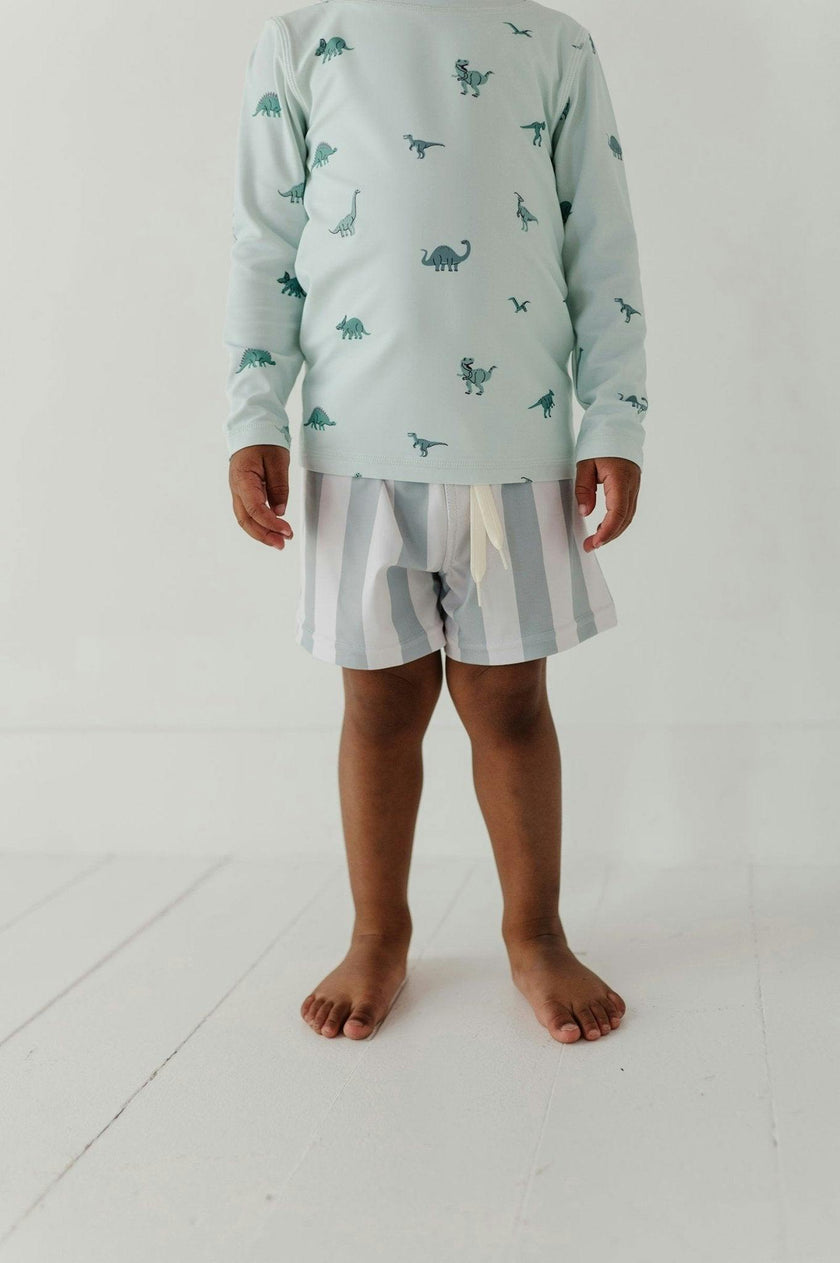 Boys Swim Shorts in Dinosaur