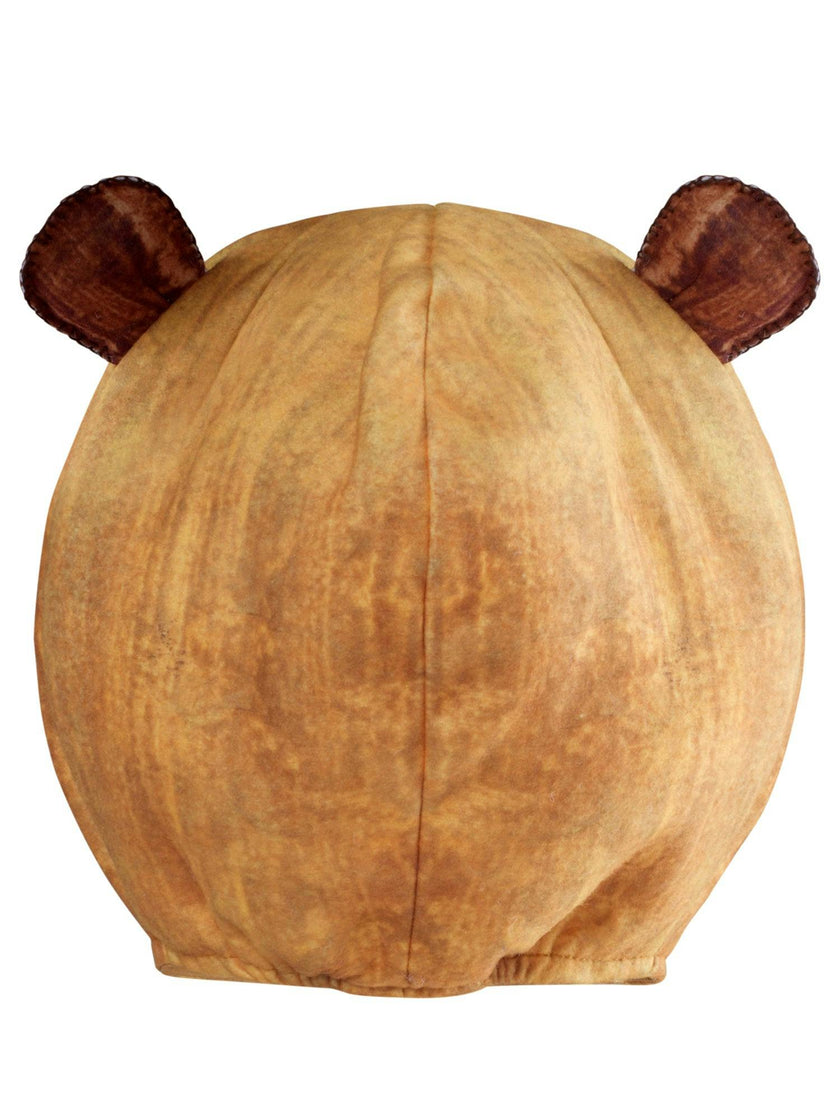 Brown Bear, Brown Bear, What Do You See Costume for Babies and Toddlers