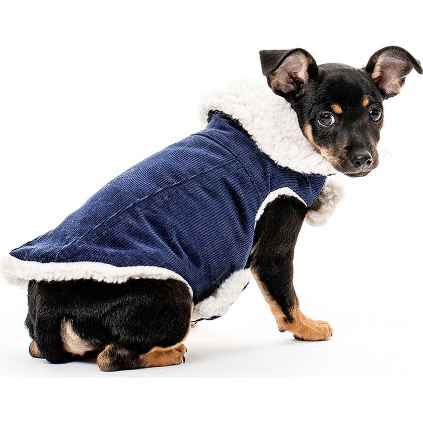 Modern Classic Coat