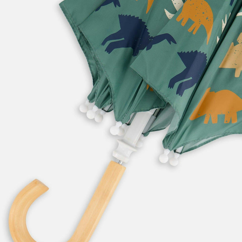Umbrella
