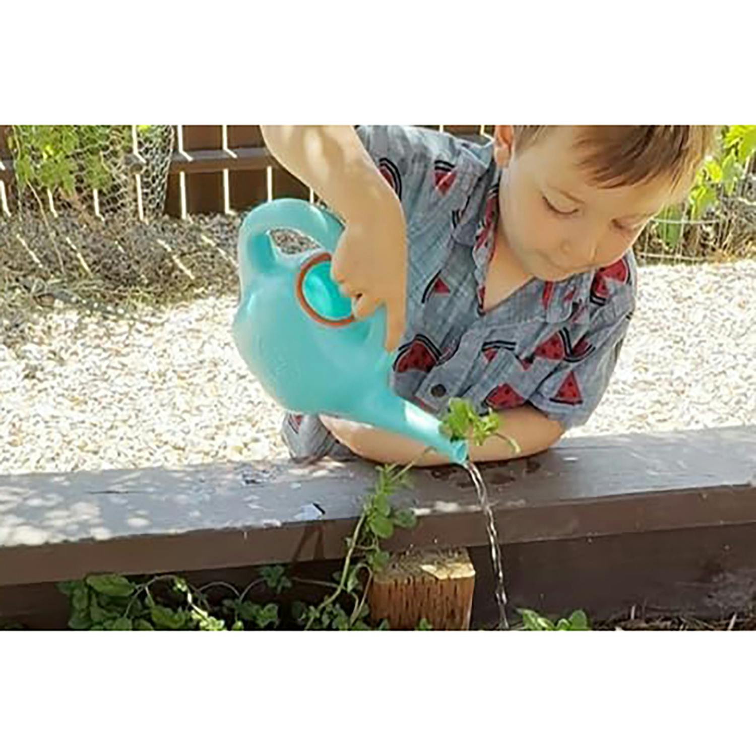 Watering Can - Blue