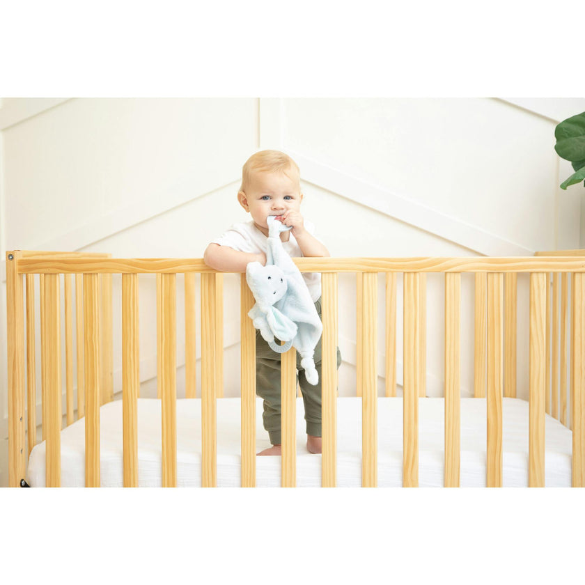 Teether Buddy