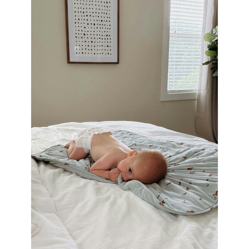 Cozy Cloud Comforter Baby Blanket
