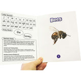 Science Decodables Phase 3 Non-Fiction Educational Learning Set