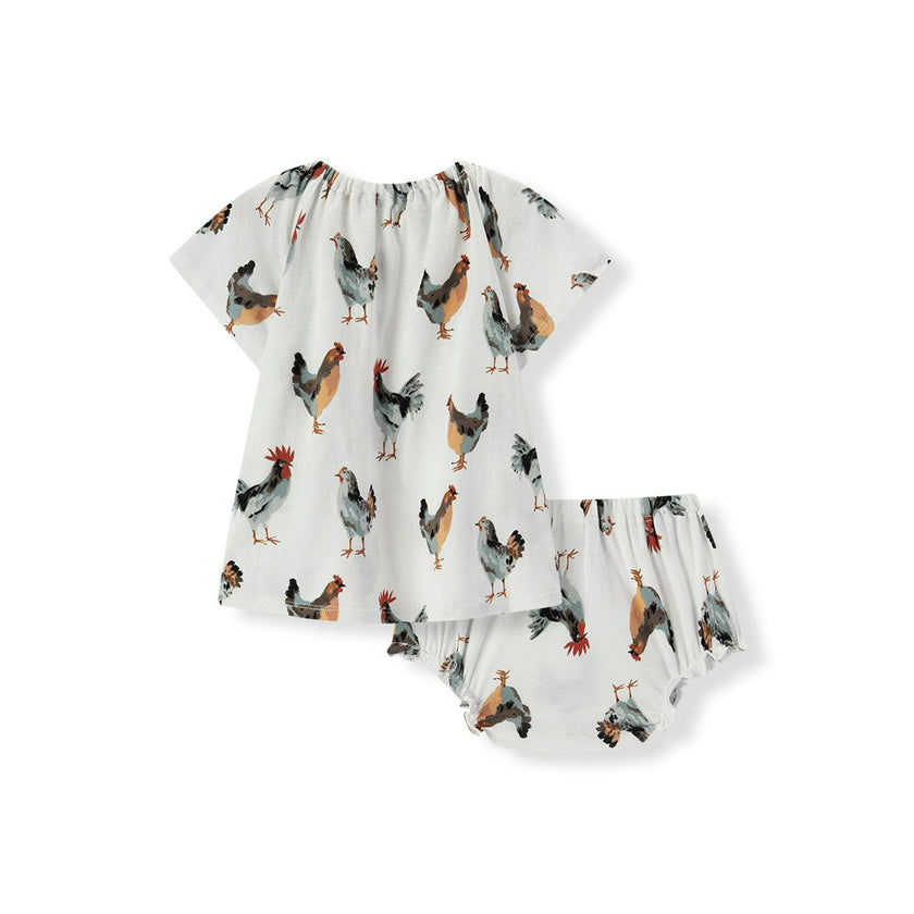 Organic Cotton Dress & Bloomer Set
