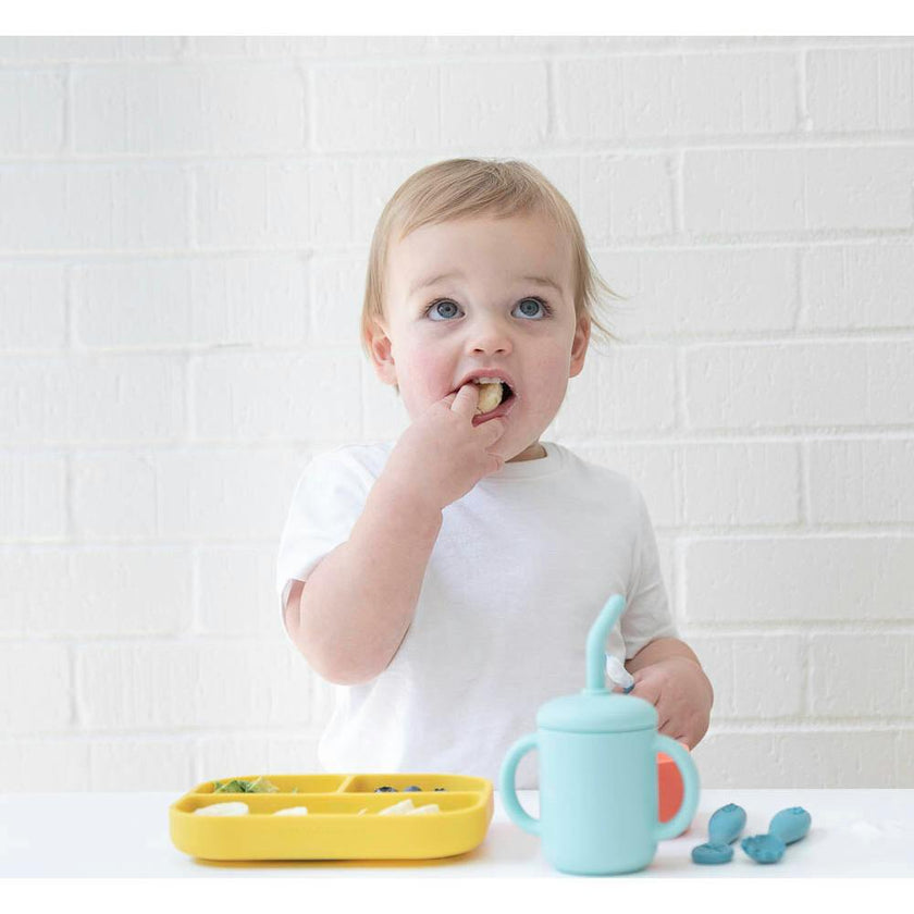 Circus Fun Little Bites 8-Piece Set