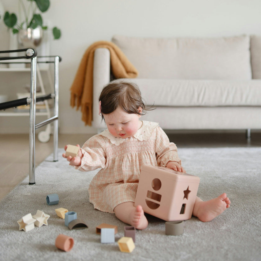 Shape Sorting Box