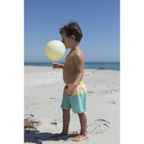 Candy classic swim shorts