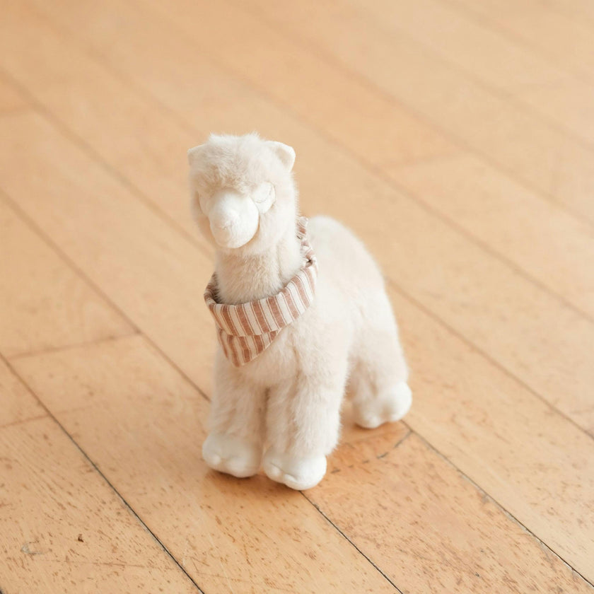 An Alpaca Called Alfie SET