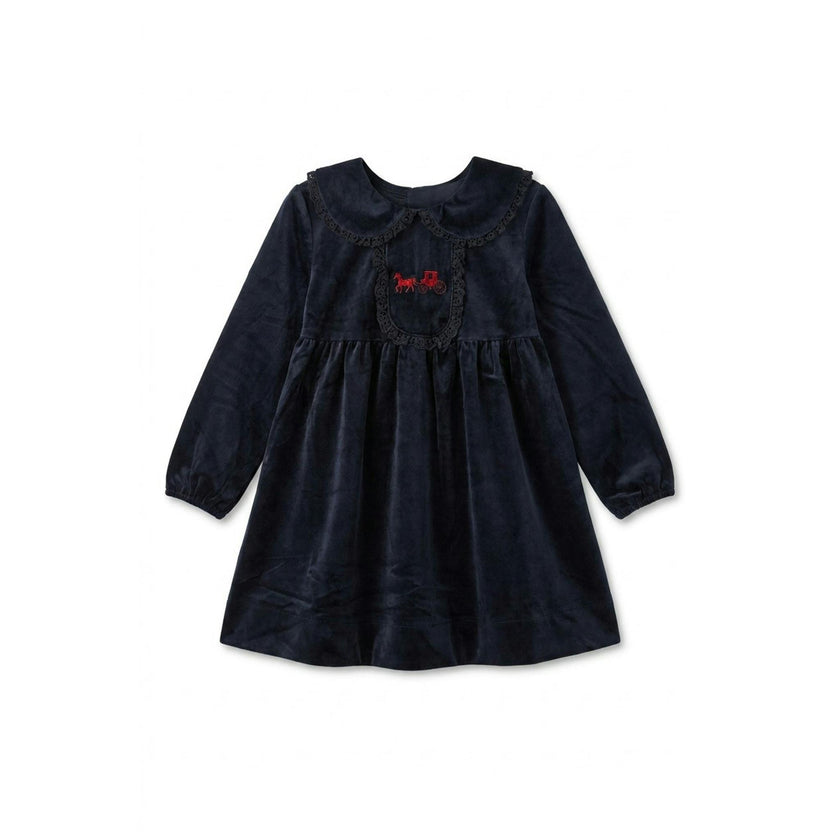 Horse Carriage Velour Dress