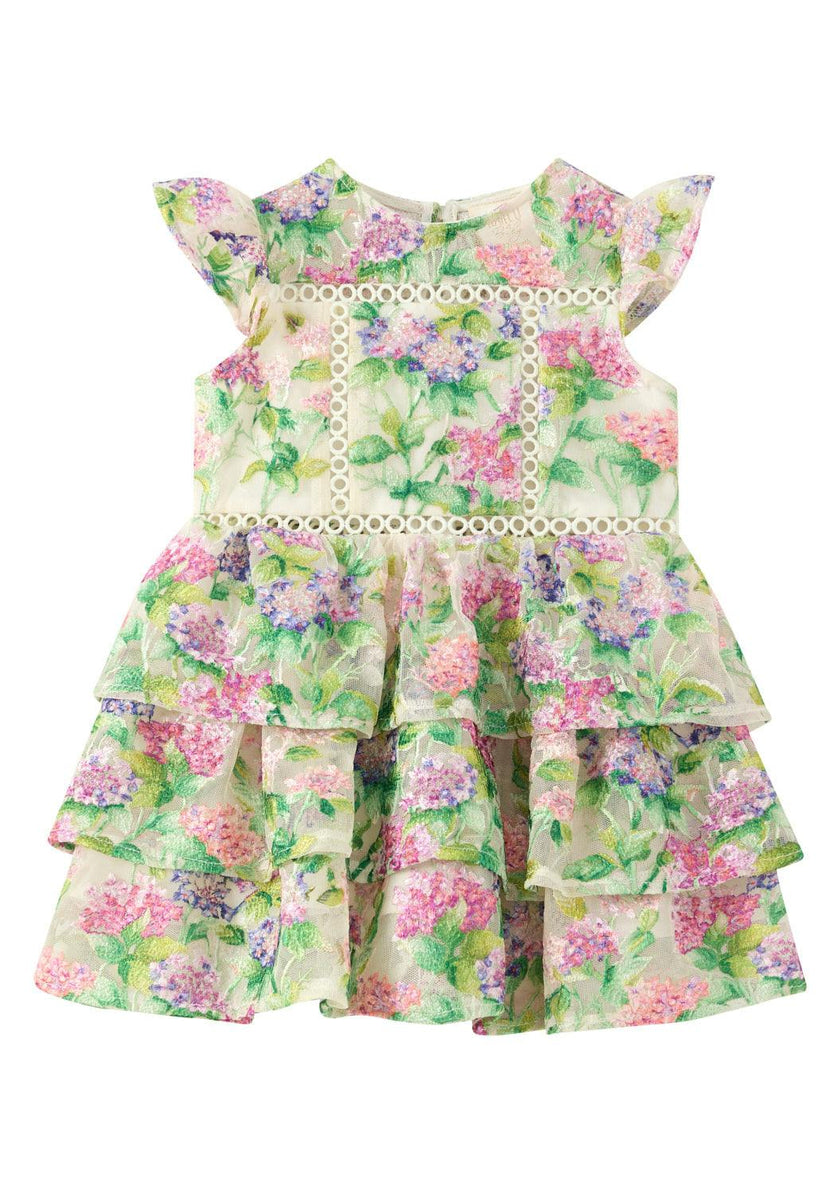 Clementine Embroidered Mini Dress (Baby)