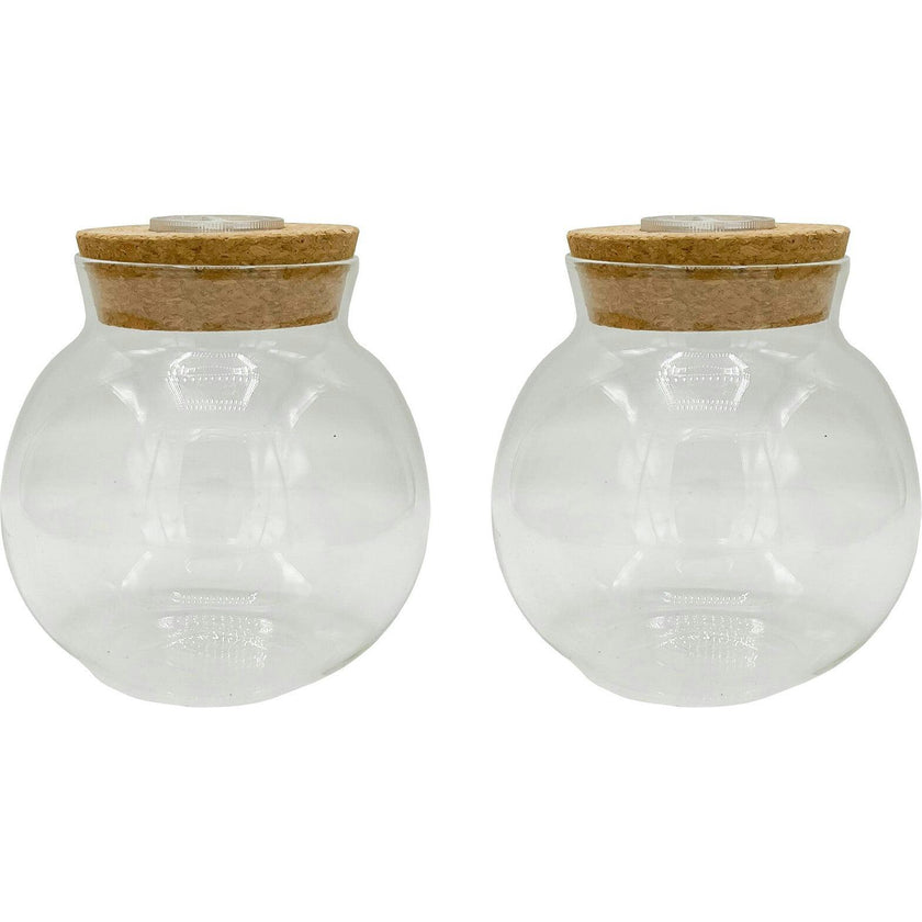 Glass Terrarium: 4" With Cork & 3 LEDs - 2 Pack