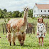 Girls Autumn Dress - Horse Breeds