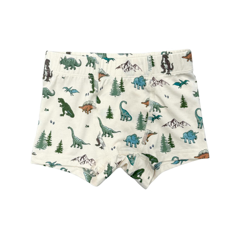 Boys Boxer in Dino Land