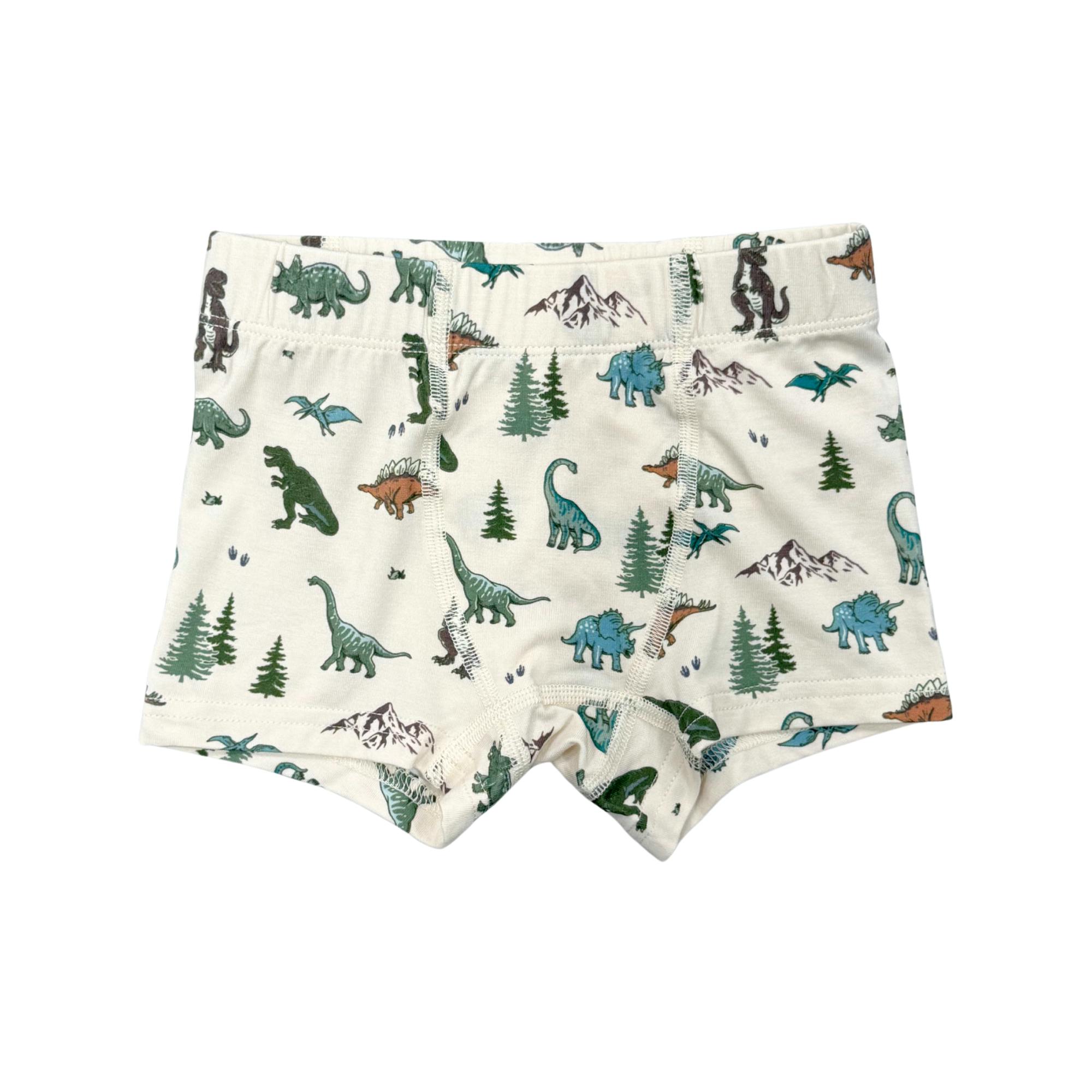 Boys Boxer in Dino Land