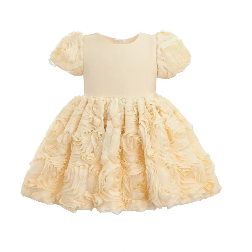 Champagne Bow Rosette Dress