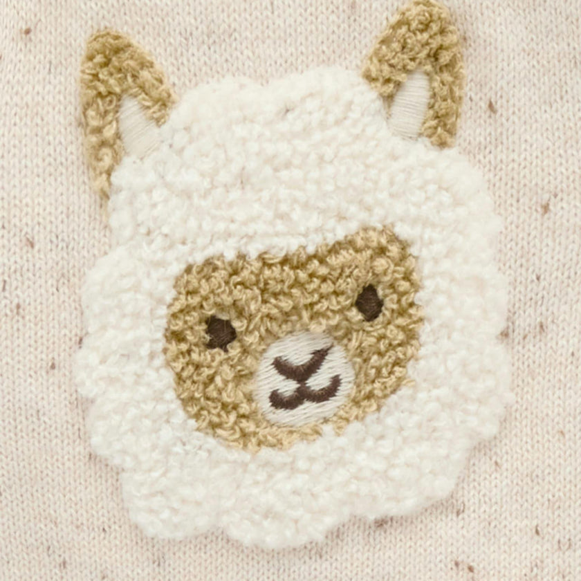 Fiesta Friends Cardigan Sand Neppy