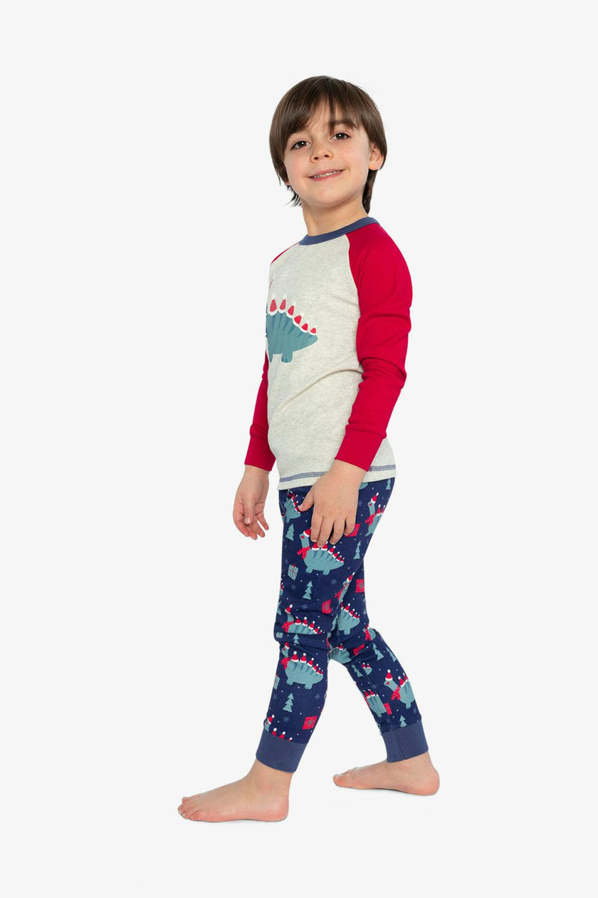Organic Cotton Two Piece Pajama Set Blue Dinosaur Print