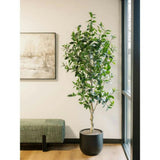 7' Faux Potted Laurel Tree