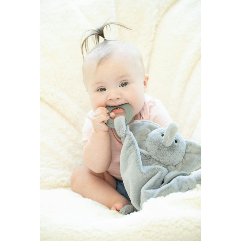 Teether Buddy